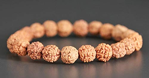 Sacred Rudraksha Bracelet  Pack of 2